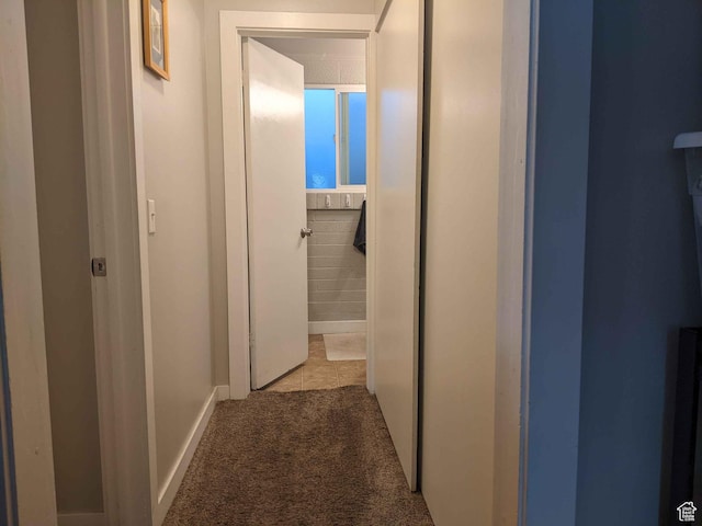 173 N K St E, Salt Lake City, UT 84103 - hall featuring carpet floors and baseboards