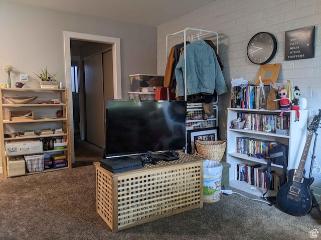 173 N K St E, Salt Lake City, UT 84103 - misc room featuring carpet floors