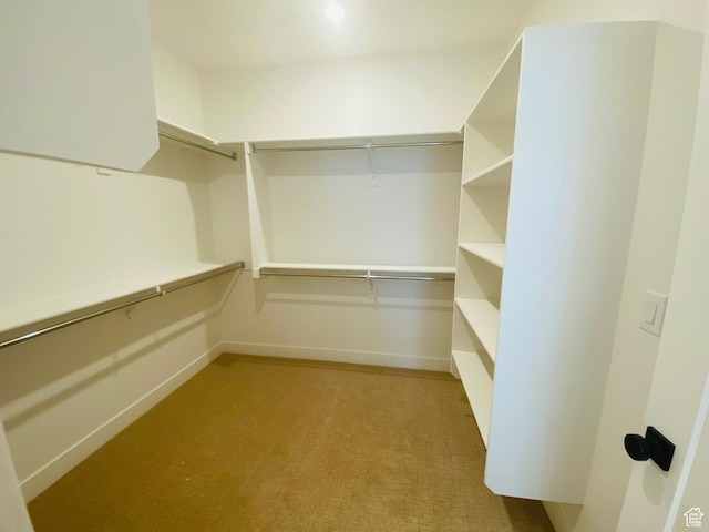 6511 W Lake Ave, South Jordan, UT 84009 - walk in closet featuring light colored carpet
