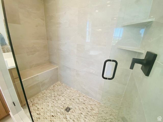 6511 W Lake Ave, South Jordan, UT 84009 - bathroom featuring a shower stall