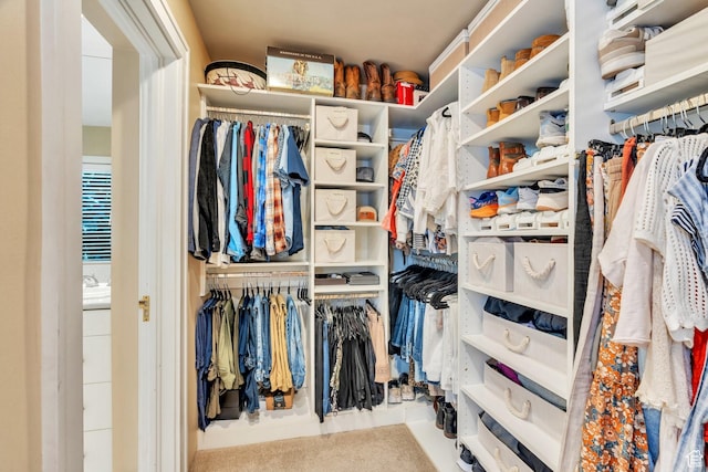 1120 E Yale Ave, Salt Lake City, UT 84105 - view of walk in closet
