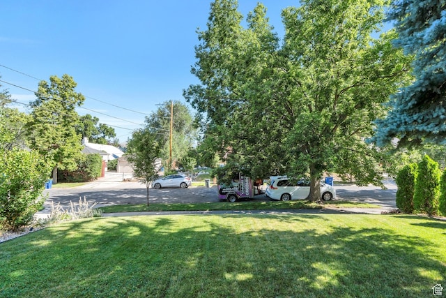 1120 E Yale Ave, Salt Lake City, UT 84105 - view of green lawn
