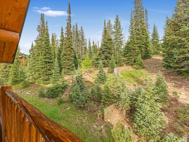 28765 N 19500 E Unit 65, Fairview, UT 84629