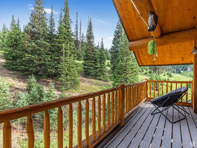 28765 N 19500 E Unit 65, Fairview, UT 84629