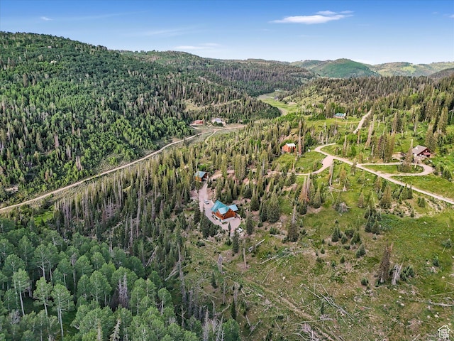 28765 N 19500 E Unit 65, Fairview, UT 84629
