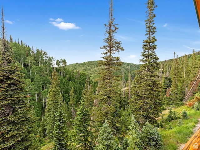 28765 N 19500 E Unit 65, Fairview, UT 84629