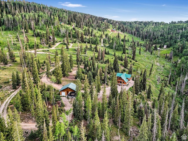 28765 N 19500 E Unit 65, Fairview, UT 84629