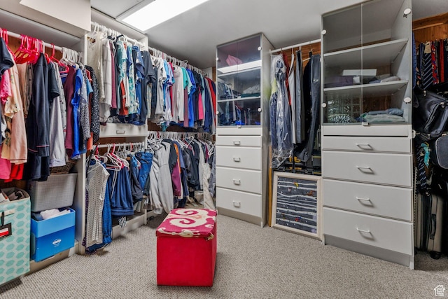 3491 S Monte Verde Dr E, Millcreek, UT 84109 - spacious closet with carpet