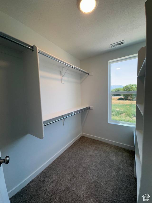 1464 N 1875 W Unit 149, Layton, UT 84041 - spacious closet with carpet flooring