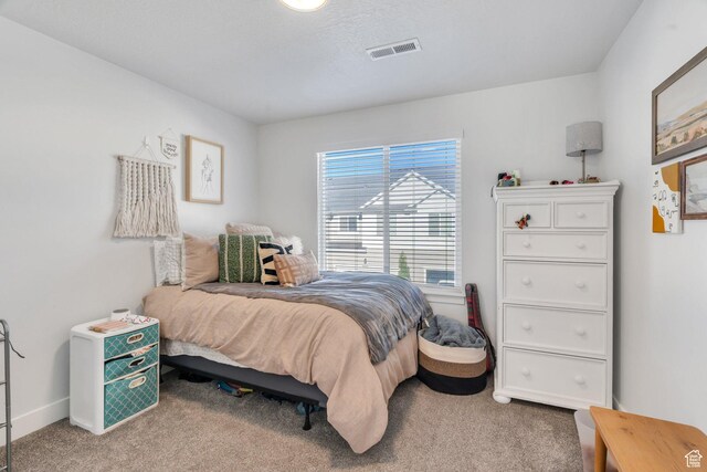 2029 N 3830 W, Lehi, UT 84043 - photo 20