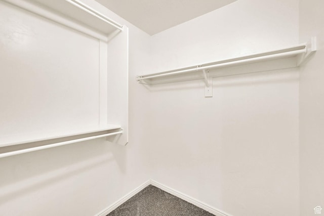 1568 N 565 W Unit 104, Logan, UT 84341 - walk in closet featuring carpet floors