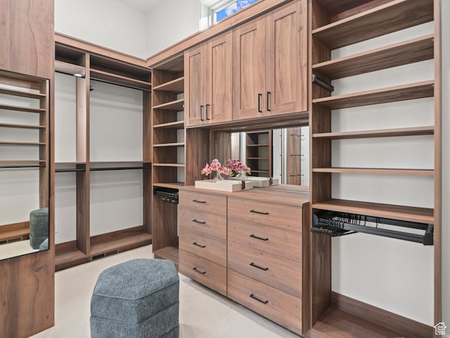 322 S 7900th St E Unit 5, Huntsville, UT 84317 - view of walk in closet