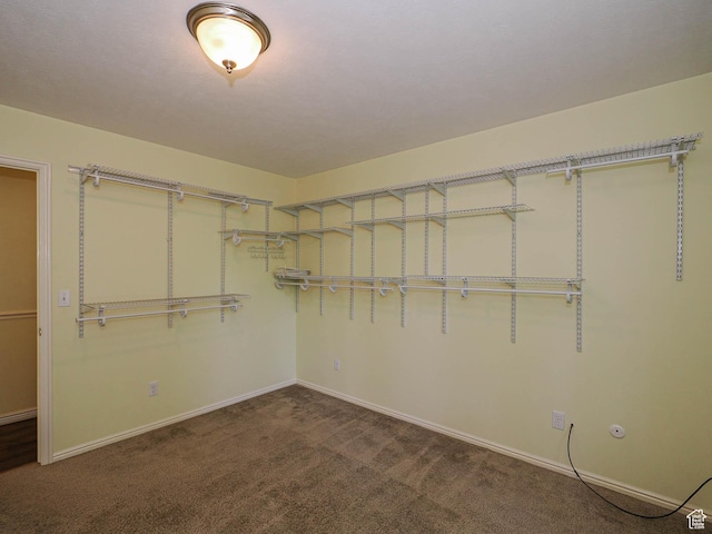 1473 E Millcreek Way, Millcreek, UT 84106 - spacious closet with carpet floors