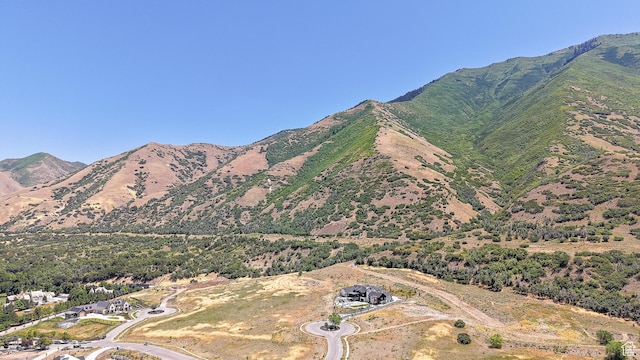 1284 E Middle Canyon Ct Unit 69, Mapleton, UT 84664