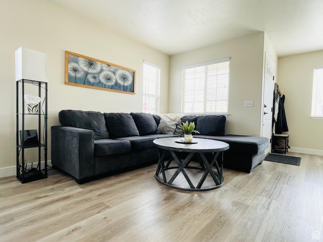 908 W Timpie Rd S, Tooele, UT 84074 - living area with light wood-style floors and healthy amount of natural light