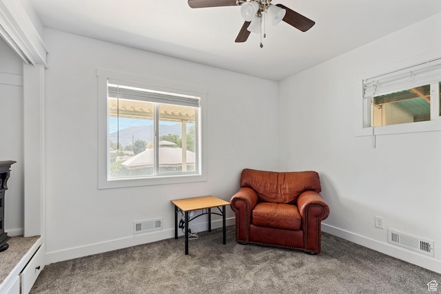 780 N 200 E, Spanish Fork, UT 84660 - sitting room with carpet, a ceiling fan, and a wood stove