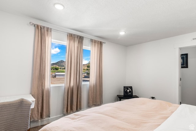 48 E Cedar Ln, Malad City, ID 83252 - bedroom with recessed lighting and a textured ceiling