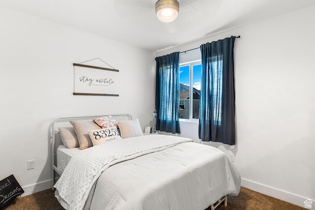 48 E Cedar Ln, Malad City, ID 83252 - bedroom featuring carpet floors and baseboards