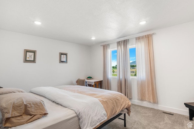 48 E Cedar Ln, Malad City, ID 83252 - bedroom featuring light carpet and recessed lighting