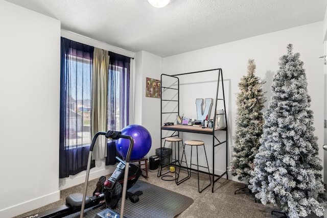 48 E Cedar Ln, Malad City, ID 83252 - workout room featuring carpet and a textured ceiling