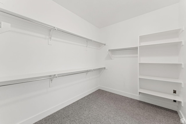 2886 N Desert Forest Ln, Lehi, UT 84043 - spacious closet featuring carpet