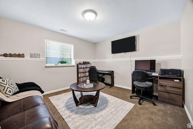 232 Sunstone Cir W, Logan, UT 84321 - carpeted home office with baseboards