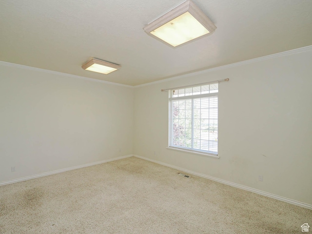 1539 S 50 E, Salem, UT 84653 - empty room with crown molding and carpet floors