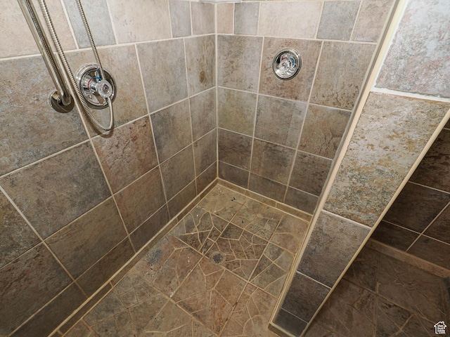 1539 S 50 E, Salem, UT 84653 - bathroom featuring a tile shower