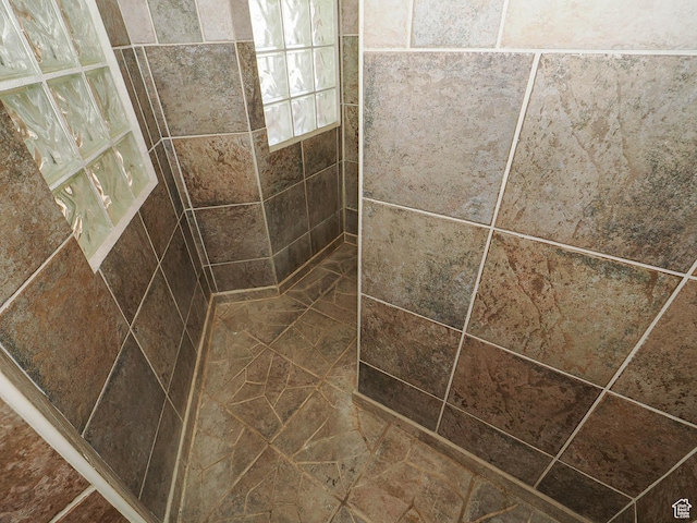 1539 S 50 E, Salem, UT 84653 - bathroom view of a tile shower