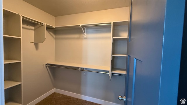 559 E Petersen Pkwy, South Weber, UT 84405 - walk in closet featuring dark colored carpet