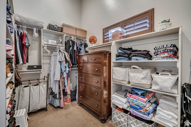 789 Eliza Ct, Farmington, UT 84025 - spacious closet featuring carpet flooring
