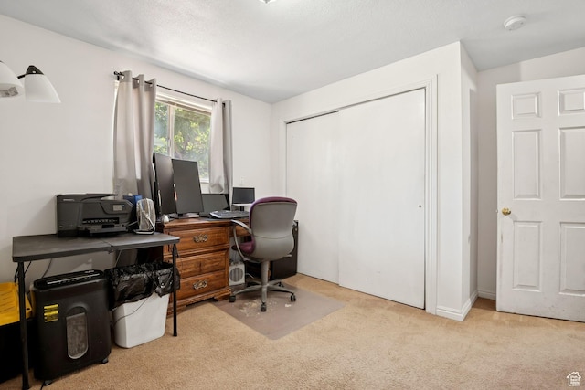 4807 S Heath Ave W, Salt Lake City, UT 84118 - view of carpeted home office