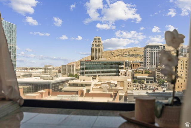 48 W 300 S Unit 1405N, Salt Lake City, UT 84101 - city view featuring a mountain backdrop