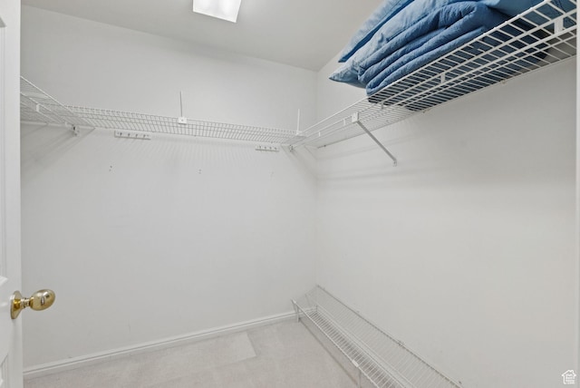 48 W 300 S Unit 1405N, Salt Lake City, UT 84101 - walk in closet with carpet flooring