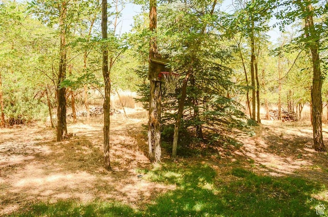 521 N Grove Dr, Alpine, UT 84004 - view of woods