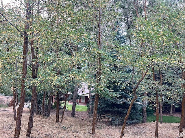 521 N Grove Dr, Alpine, UT 84004 - view of yard