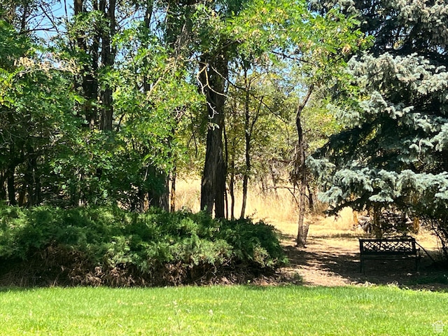521 N Grove Dr, Alpine, UT 84004 - view of yard