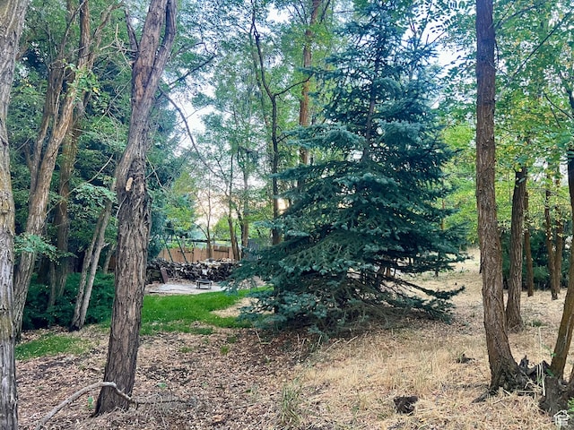 521 N Grove Dr, Alpine, UT 84004 - view of undeveloped land