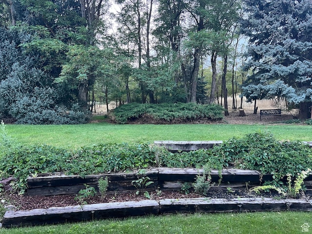 521 N Grove Dr, Alpine, UT 84004 - view of green lawn featuring a vegetable garden