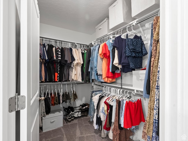 132 E Geyser Ct, Saratoga Springs, UT 84045 - walk in closet featuring carpet