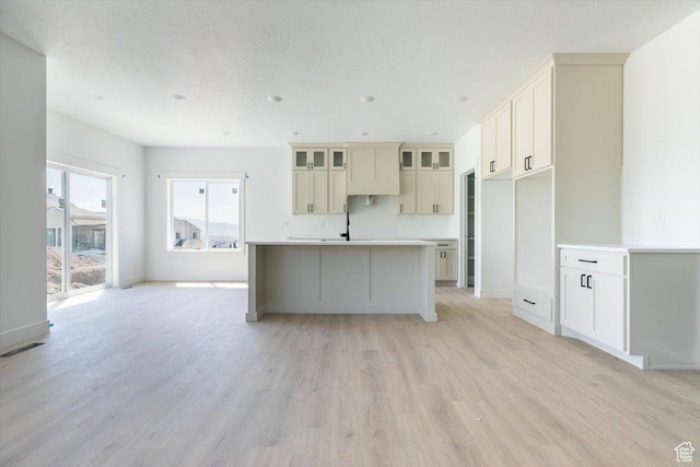 880 E 130 N, Hyde Park, UT 84318 - kitchen with light wood finished floors, a kitchen island with sink, glass insert cabinets, a textured ceiling, and light countertops