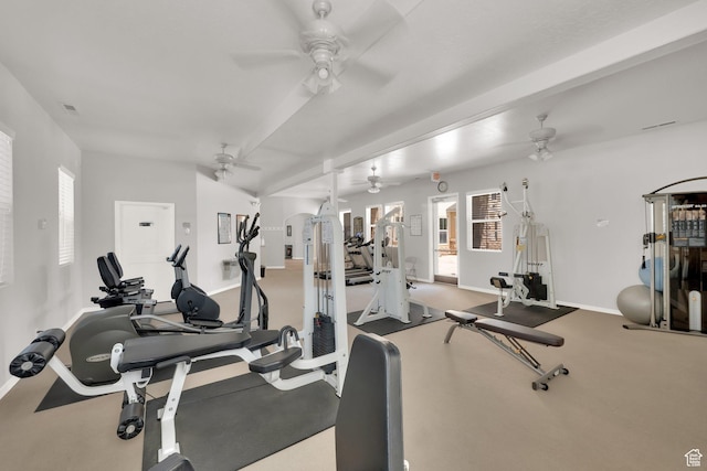 3908 W Lorient Ave, West Jordan, UT 84084 - workout area with a ceiling fan, plenty of natural light, and carpet flooring