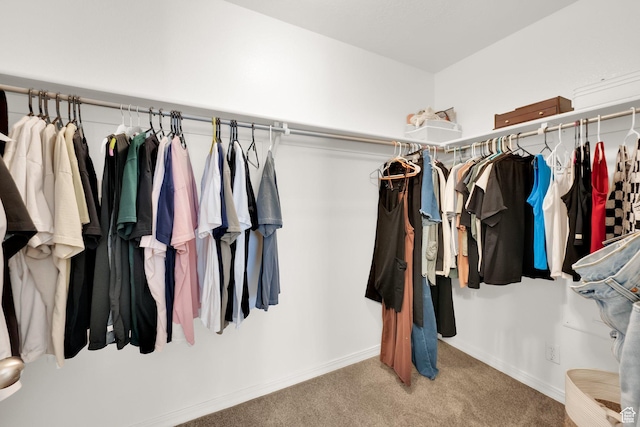 3908 W Lorient Ave, West Jordan, UT 84084 - walk in closet with carpet floors