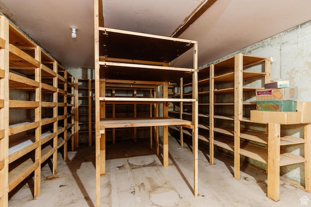 85 E 500 S, Providence, UT 84332 - view of storage