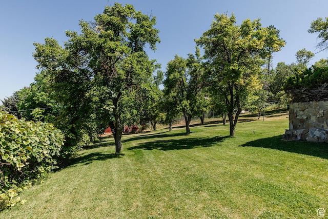 85 E 500 S, Providence, UT 84332 - view of green lawn