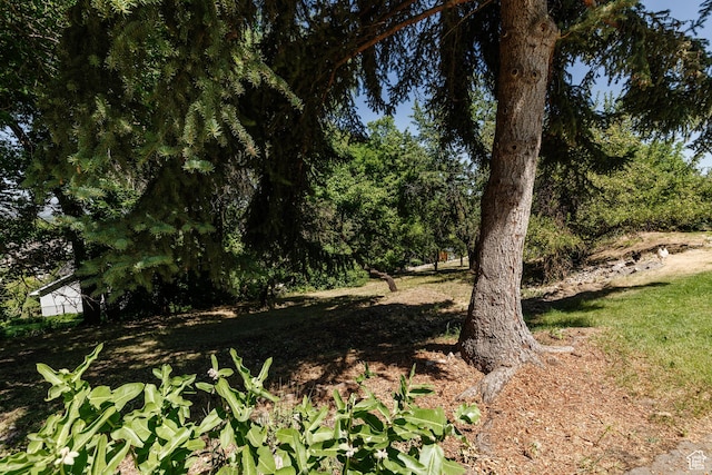 85 E 500 S, Providence, UT 84332 - view of undeveloped land
