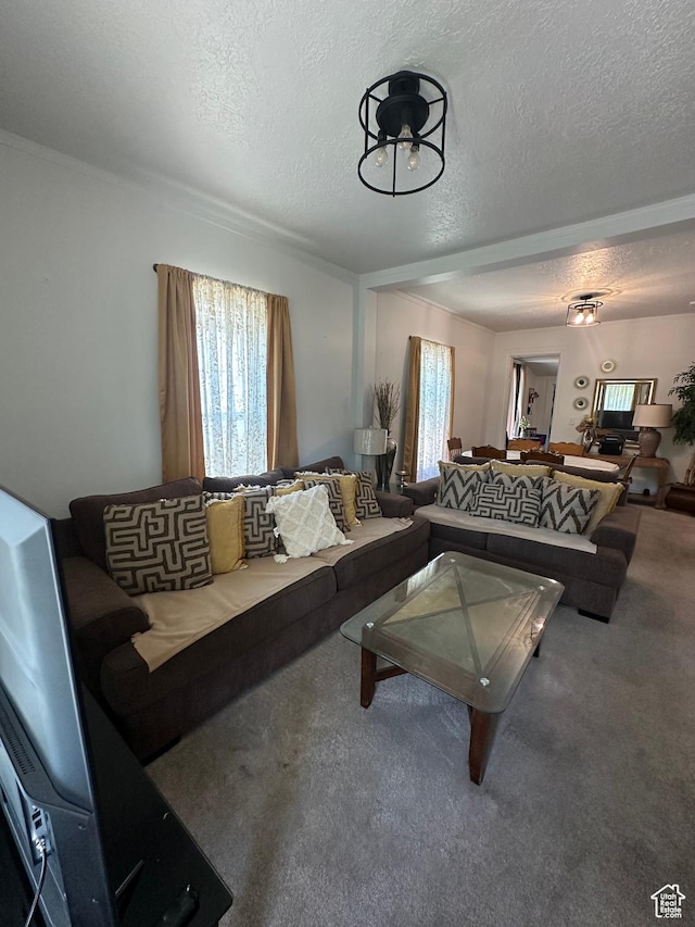 2019 Adams Ave, Ogden, UT 84401 - living room with carpet flooring and a textured ceiling