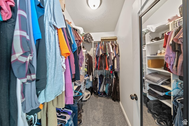 4022 S 2725 W, Roy, UT 84067 - spacious closet with carpet flooring