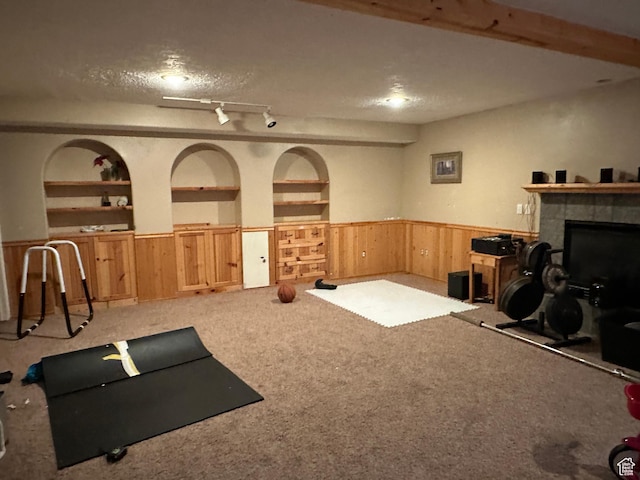 83 E 1820 S, Orem, UT 84058 - workout room with wainscoting, built in shelves, wooden walls, light colored carpet, and a fireplace