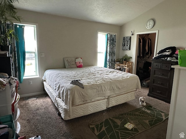 83 E 1820 S, Orem, UT 84058 - bedroom featuring carpet flooring, multiple windows, a spacious closet, and a textured ceiling